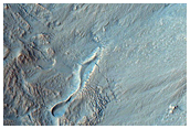 Recent Gullies in a Crater in Noachis Terra