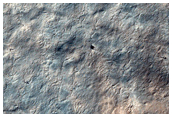 Cryptic Terrain Type B