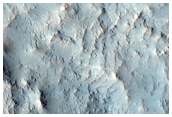 Central Uplift of a Large Impact Crater