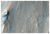 Iron and Magnesium Phyllosilicates on Crater Wall in Noachis Region