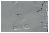 South Pole Residual Cap Monitoring and Change Detection at Site D
