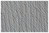 Candidate Fresh Impact Site Formed between April 2008 and April 2009