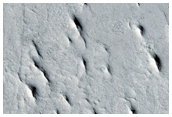 Southeastern Cerberus Palus