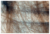 Circular Features