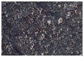 Plains Northwest of Argyre Region with Possible Olivine-Rich Terrain