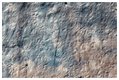 Cryptic Terrain Type B