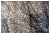 Circular Features
