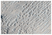 Candidate New Impact Site Formed between January 2006 and December 2008