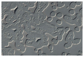 South Polar Residual Cap Monitoring of Thin Young Layers