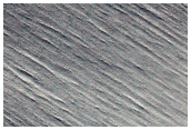 South Polar Seasonal Outlier
