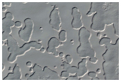 South Polar Monitoring
