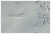 South Pole Residual Cap Monitoring and Change Detection at Site D