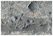 Remnant of Unusual Looking Material on Plains