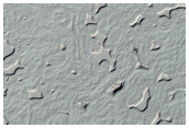 South Polar Residual Cap Monitoring