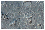 Fan and Polygonal Features within South Mid-Latitude Crater