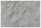 South Polar Monitoring