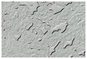 South Polar Residual Cap Monitoring