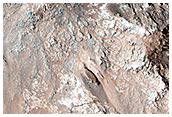 Possible Clays in Coprates Chasma
