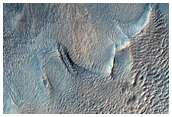 Gullied Crater in Terra Sirenum
