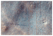 Barnard Crater Floor