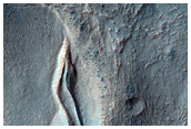 Gullies and Lobate Material in a Crater in the Nereidum Montes