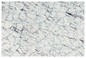South Polar Residual Cap Monitoring - Outlier