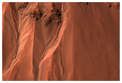 Gullies at the Edge of Hale Crater