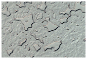 South Polar Residual Cap Monitoring