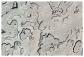 Monitoring of South Polar Residual Cap Erosion