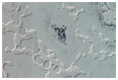 South Polar Residual Cap Intraseasonal Change Monitoring