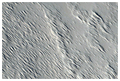 Steep Shields in Tharsis Region