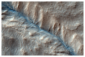 Gullied Crater Wall