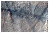 Gullied Crater Wall