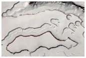 Monitoring Seasonal Albedo Patterns on South Polar Residual Cap