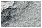 Search for Gullies in South Mid-Latitude Terrain