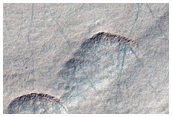 Craters in Malea Planum