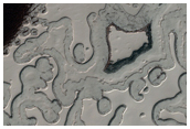 South Polar Residual Cap Intraseasonal Change Monitoring