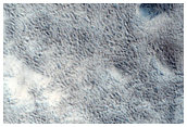 Dark Spot North of Tartarus Colles and Surrounding Terrain