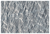 Terrain Near Isidis Planitia