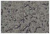 South Polar Residual Cap Intraseasonal Change Monitoring
