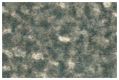 South Polar Layer Deposit