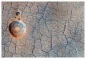 Series of Possible Pingos in Polygonal Terrain