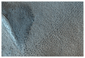 Evolution of Dune Field from a Crater