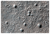Sample of Cratered Terrain East of Hale Crater