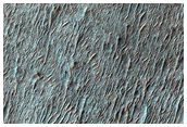 Light-Toned Deposits on Crater Floor with Polygonal Patterns