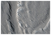 Distributary Channel South of Ascraeus Mons