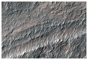Large Clay and Chloride Exposure in Southeast Sirenum Fossae Region