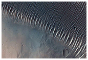 Her Desher Vallis Possible Phyllosilicates