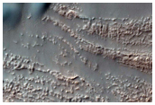 Dune Source in Newton Crater
