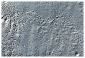 Crater with Gullies Seen in MOC Image E14-02164
